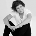 /album/galleria-fotografica/harry-6-png/
